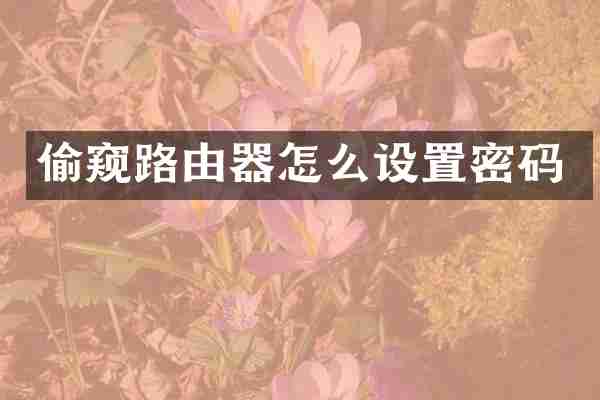 偷窥路由器怎么设置密码