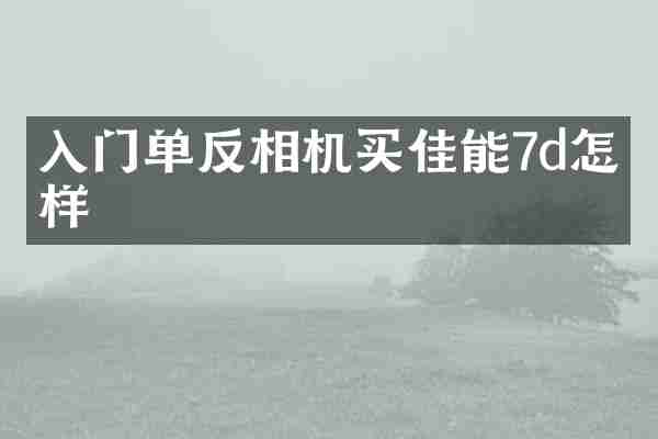 入门单反相机买佳能7d怎么样