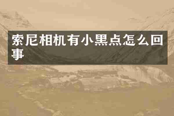 相机有小黑点怎么回事
