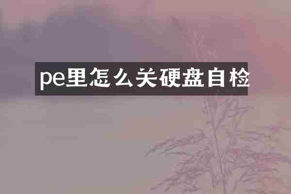 pe里怎么关硬盘自检