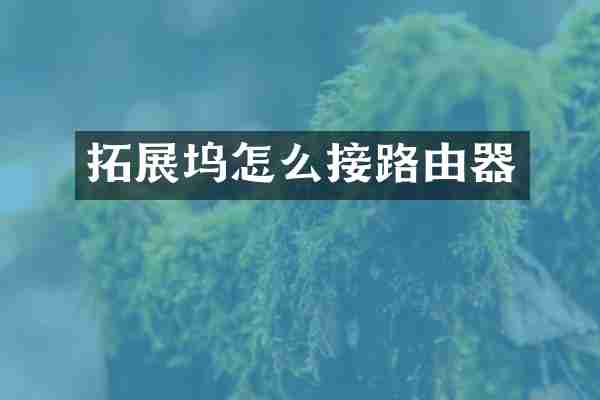 拓展坞怎么接路由器