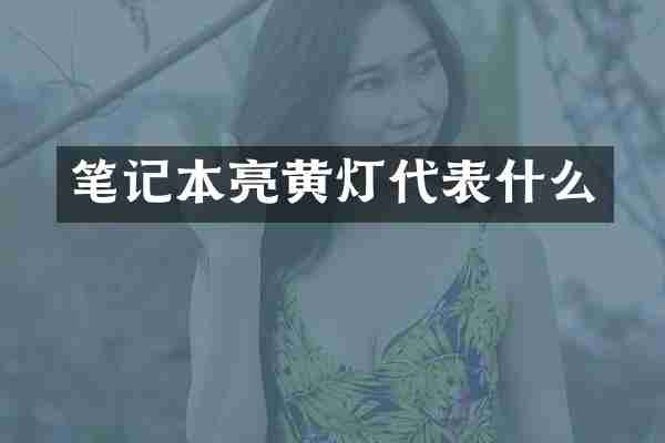 笔记本亮黄灯代表什么