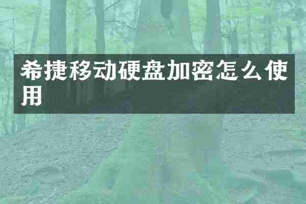 希捷移动硬盘加密怎么使用