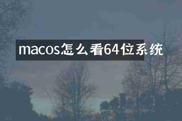 macos怎么看64位系统