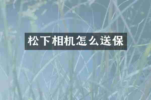 相机怎么送保