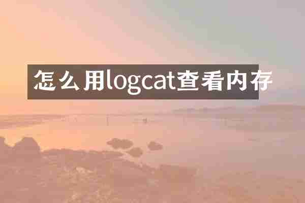 怎么用logcat查看内存