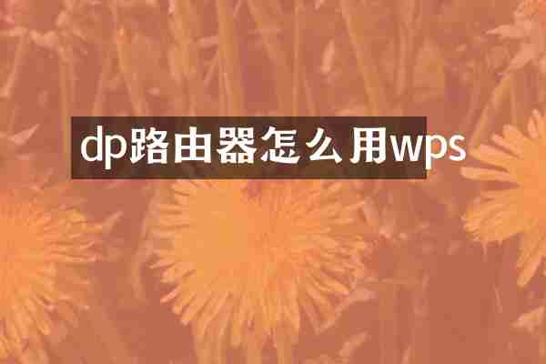 dp路由器怎么用wps