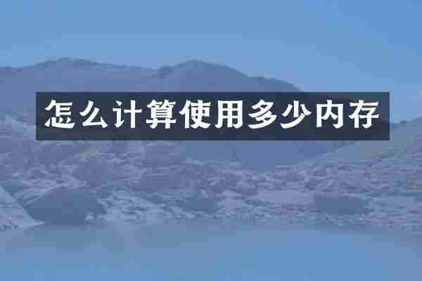 怎么计算使用多少内存