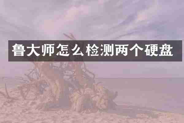 鲁大师怎么检测两个硬盘