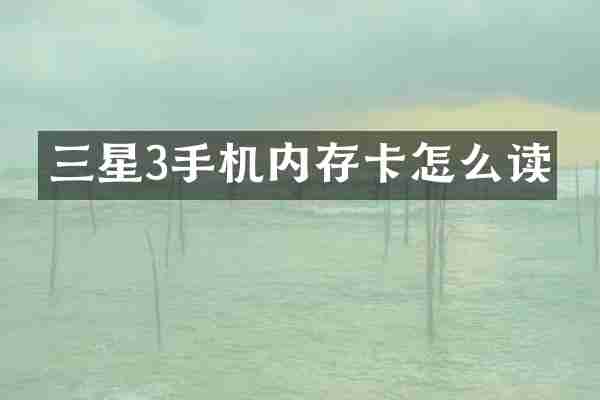 三星3手机内存卡怎么读