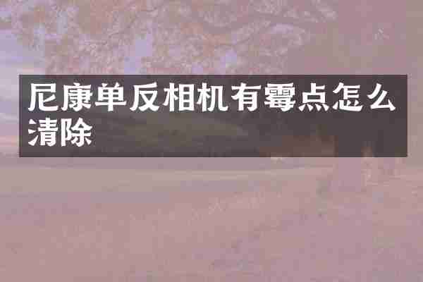 尼康单反相机有霉点怎么清除