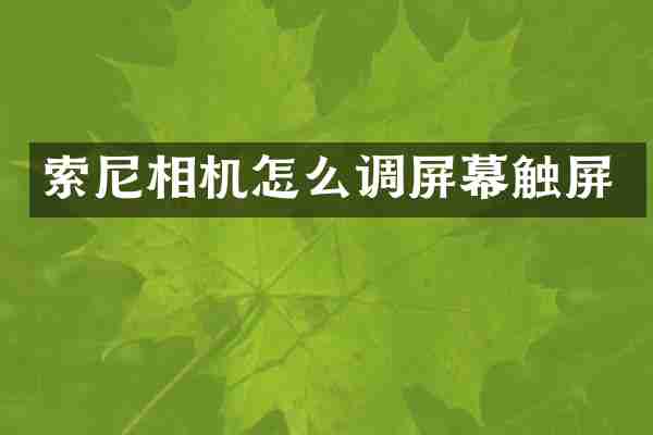 索尼相机怎么调屏幕触屏
