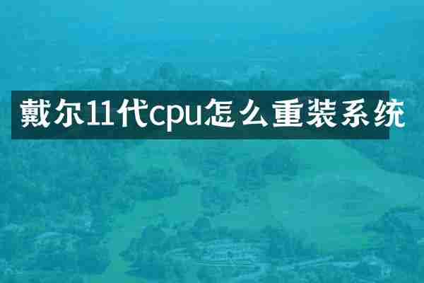 戴尔11代cpu怎么重装系统