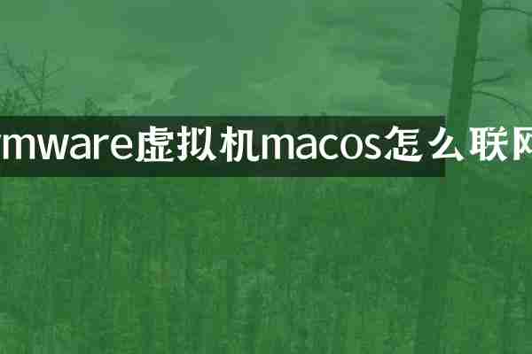 vmware虚拟机macos怎么联网