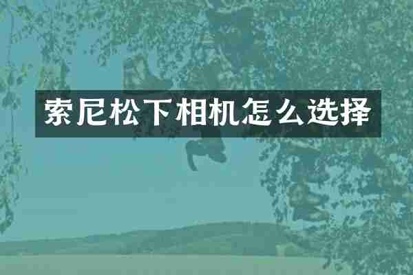相机怎么选择