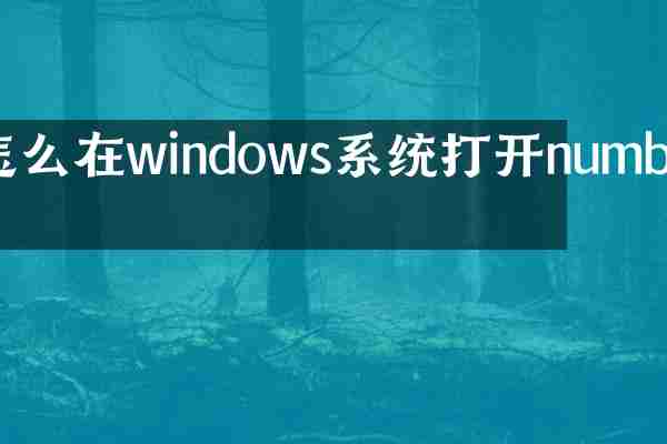 怎么在windows系统打开number