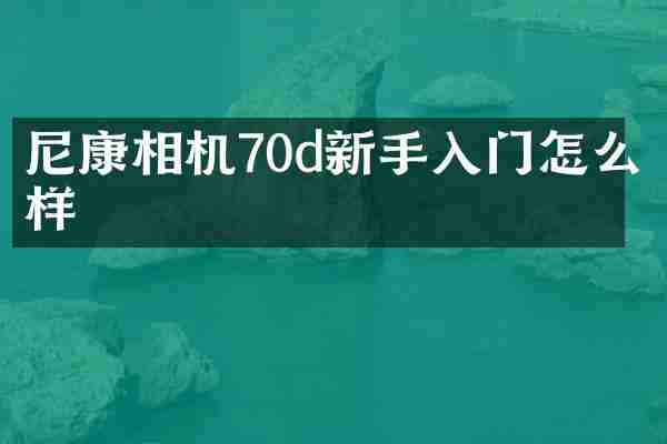 尼康相机70d新手入门怎么样