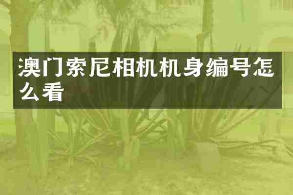澳门相机机身编号怎么看