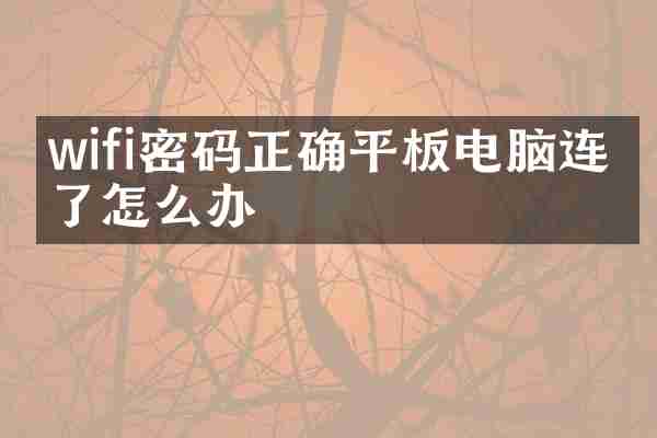wifi密码正确平板电脑连不了怎么办