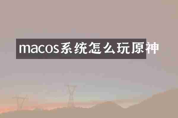macos系统怎么玩原神