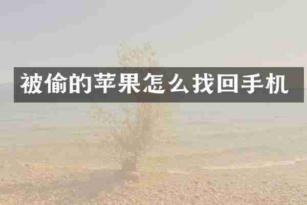 被偷的苹果怎么找回手机