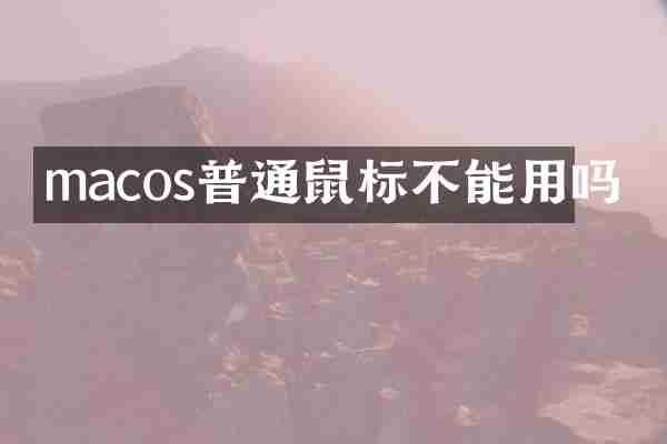 macos普通鼠标不能用吗