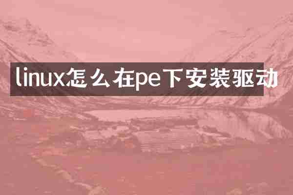 linux怎么在pe下安装驱动