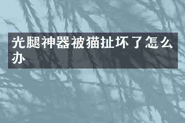 光腿神器被猫扯坏了怎么办