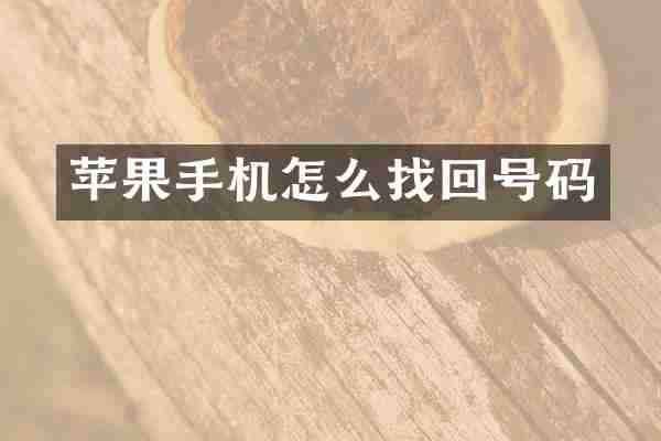 苹果手机怎么找回号码