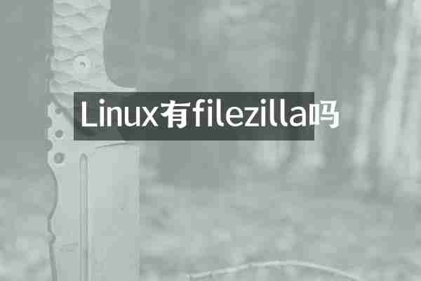 Linux有filezilla吗