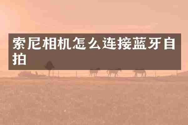 相机怎么连接蓝牙