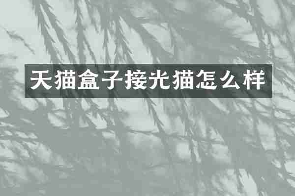 天猫盒子接光猫怎么样