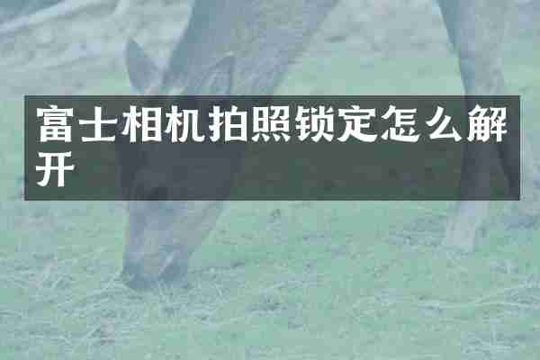 富士相机拍照锁定怎么解开