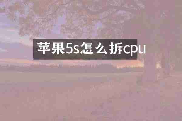 苹果5s怎么拆cpu