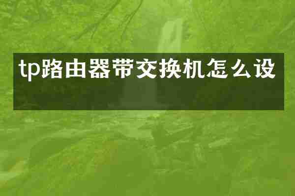 tp路由器带交换机怎么设置