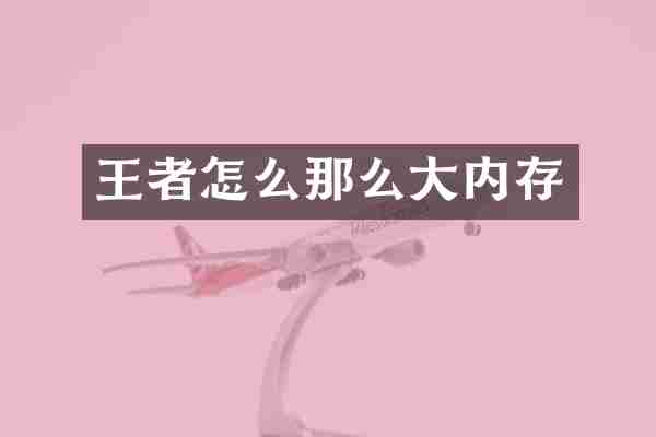王者怎么那么大内存