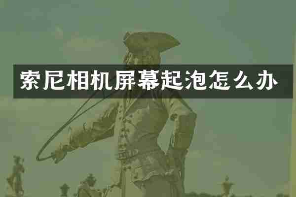 相机屏幕起泡怎么办