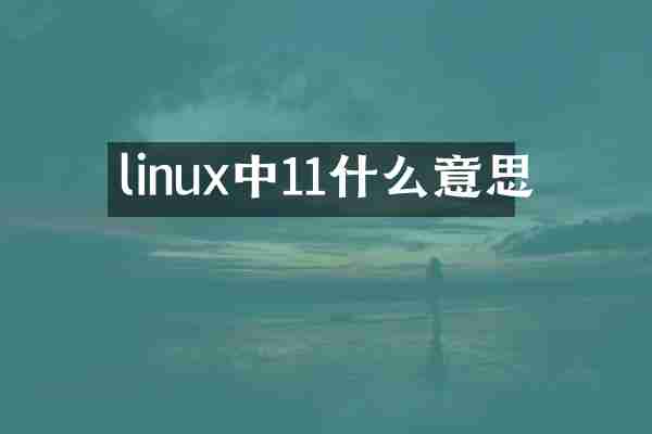 linux中11什么意思