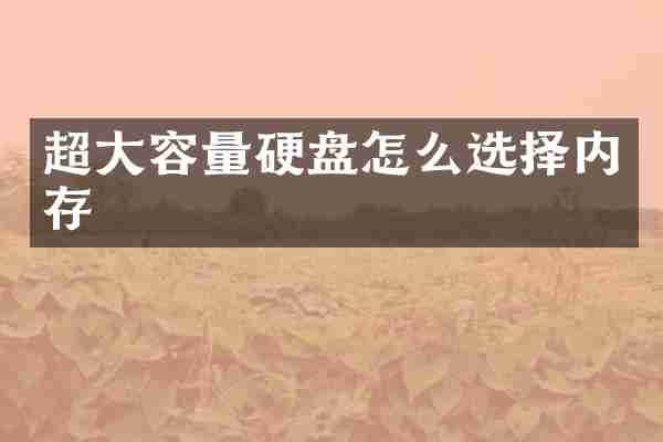 超大容量硬盘怎么选择内存