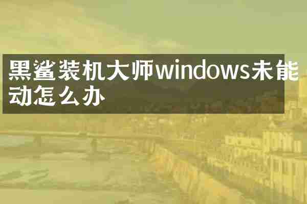黑鲨装机大师windows未能启动怎么办