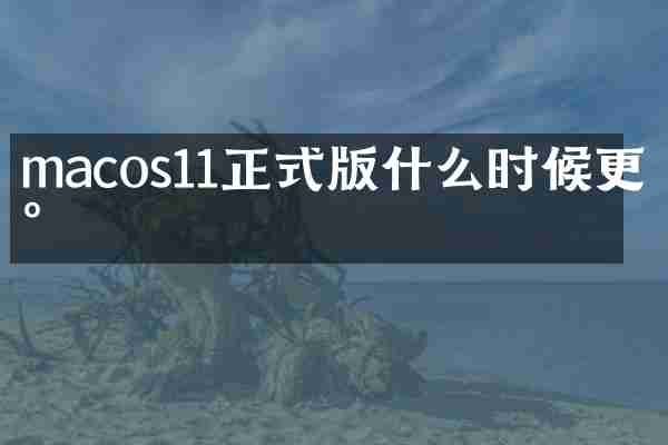 macos11正式版什么时候更新