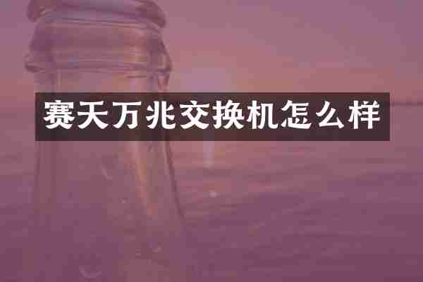 赛天万兆交换机怎么样