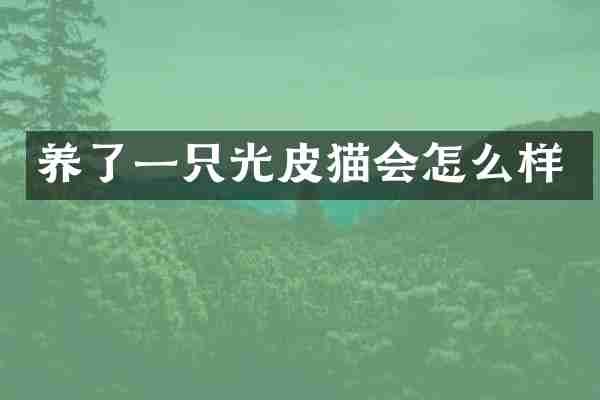 养了一只光皮猫会怎么样