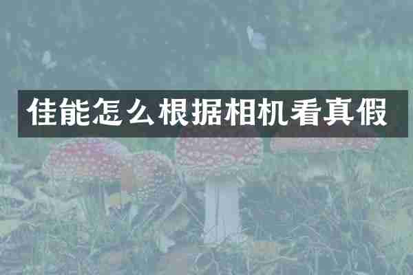 佳能怎么根据相机看真假