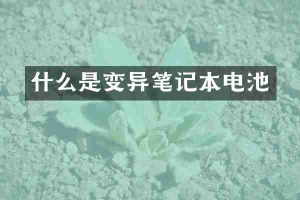 什么是变异笔记本电池