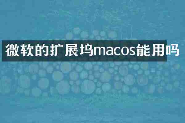 微软的扩展坞macos能用吗
