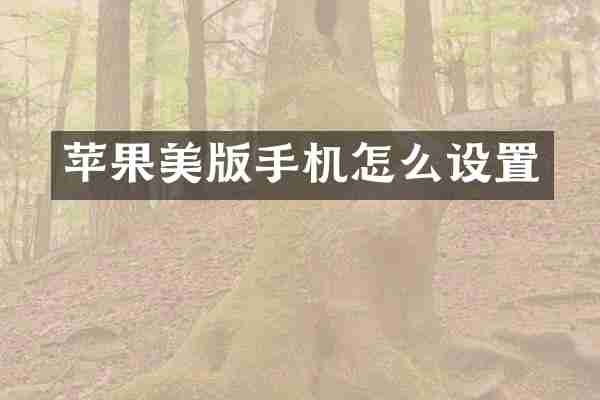苹果美版手机怎么设置