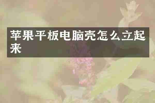 苹果平板电脑壳怎么立起来