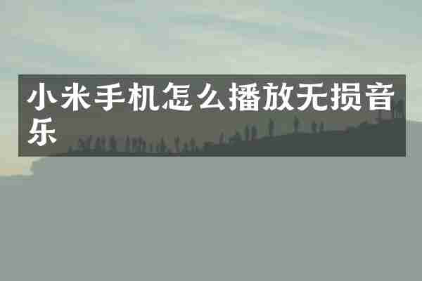 小米手机怎么播放无损音乐