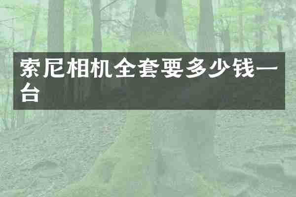 相机全套要多少钱一台